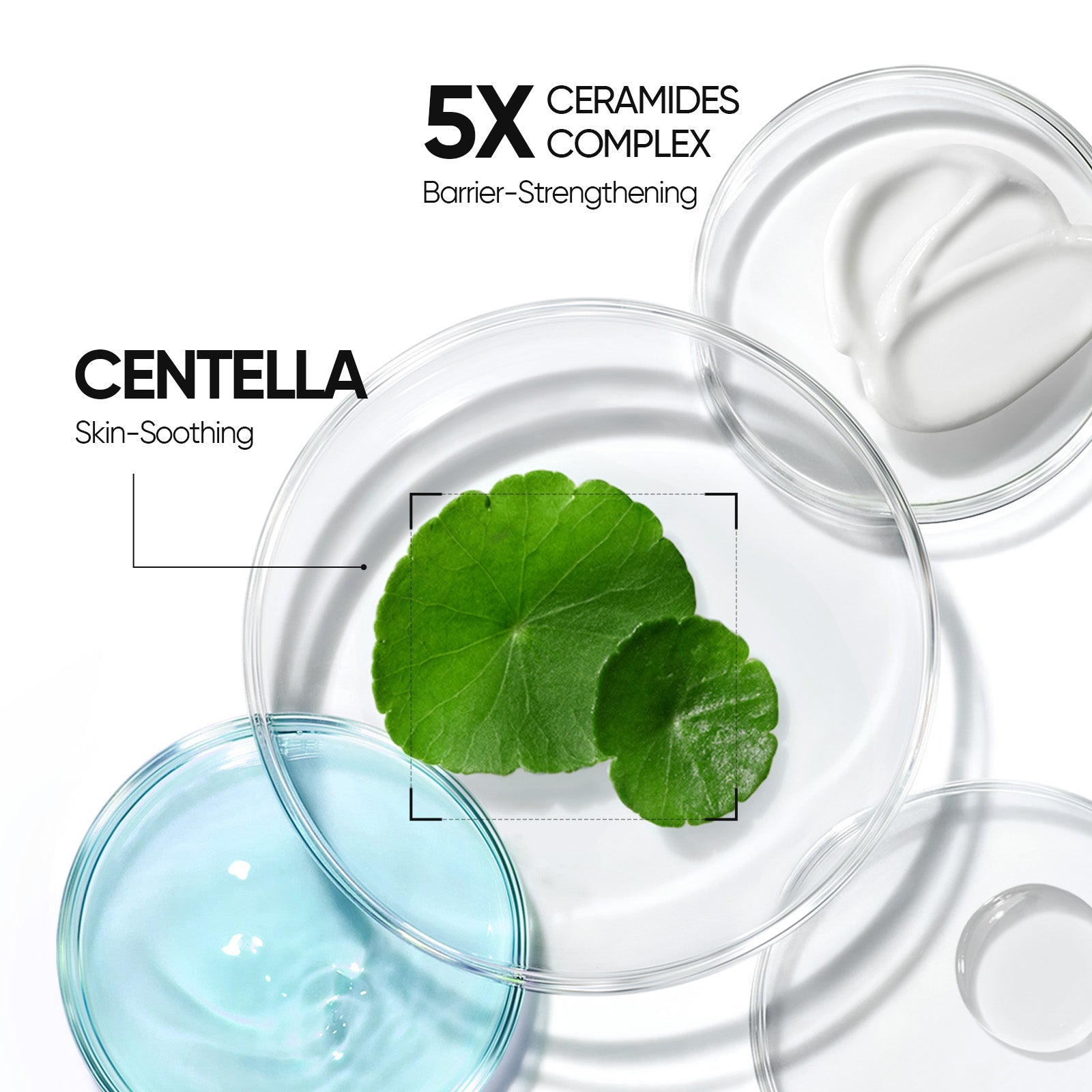 5X Ceramide Barrier Repair Moisture Gel